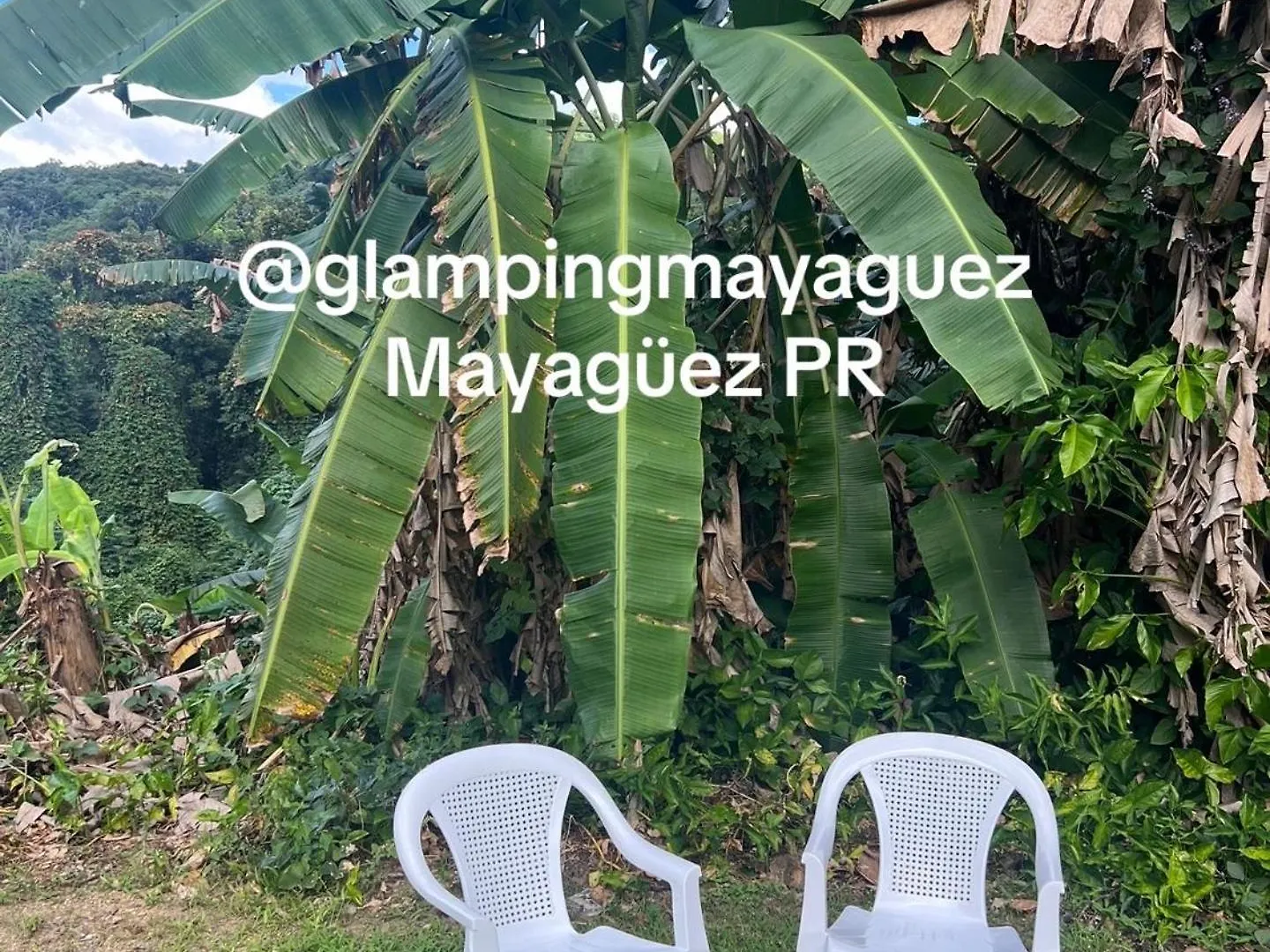 Glamping Mayaguez Just For 2 0*,  Porto Rico