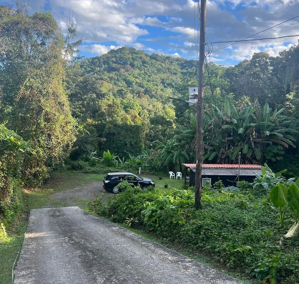 Glamping Mayaguez Just For 2 0*,